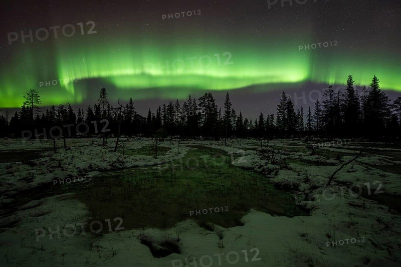 Northern Lights (Aurora borealis), Muddus National Park, Laponia World Heritage Site, Norrbotten, Lapland, Sweden, October 2024