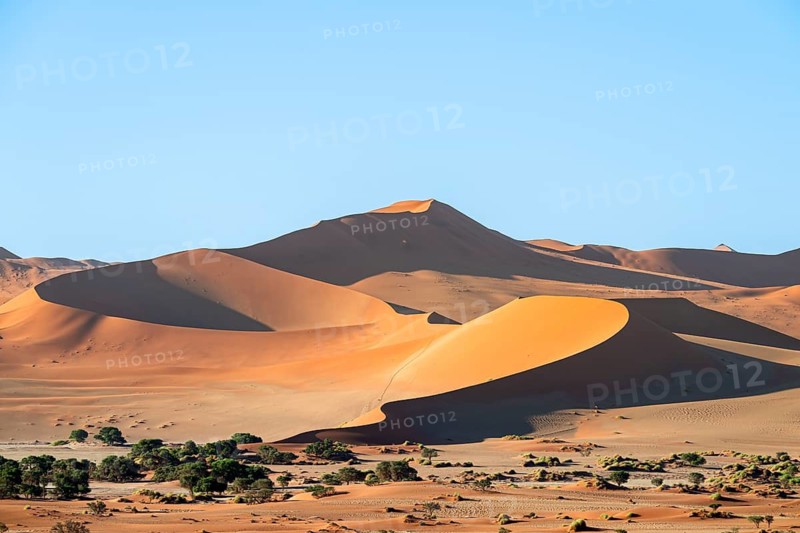 Red sand dunes, Sossusvlei region, Namib Desert, Namib-Naukluft National Park, Namibia
