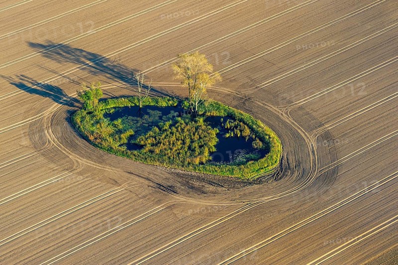 Sölle in a field landscape, Barhöft, Mecklenburg-Western Pomerania, Germany