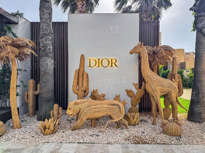 Bodrum, Turkiye - 26.05.2025: DIOR store entrance in Palmarina Bodrum Marina in Turkey