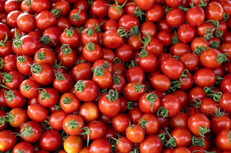 A large assortment of fresh red cherry tomatoes with green stems