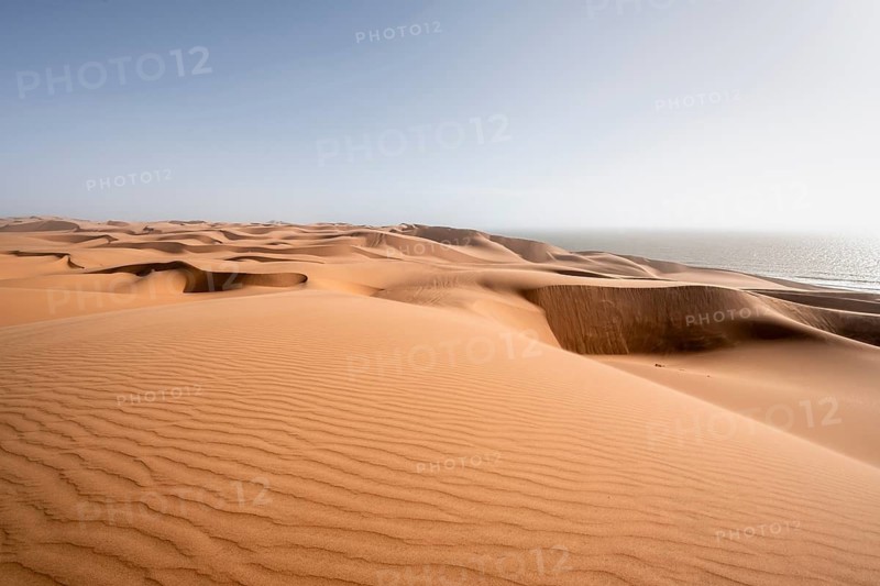 Sand dunes with wave patterns, dune sea, sandy desert, impressive desert landscape, Namib Naukluft Park, Namib desert, Namibia