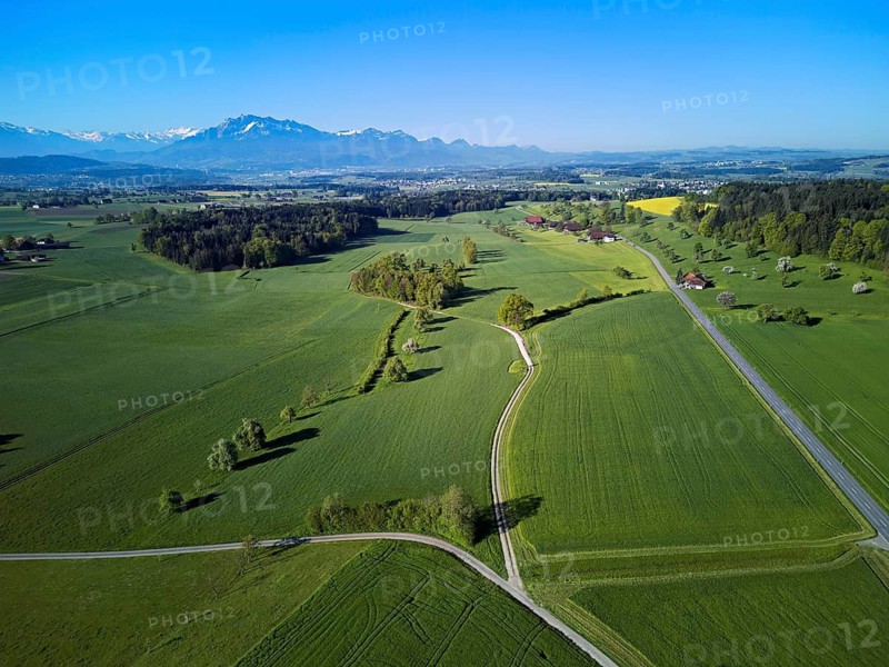 Blooming trees, fields and meadows, in the background the snow-covered Alps with Mount Pilatus, Abtwil, Freiamt, Aargau Canton, Switzerland