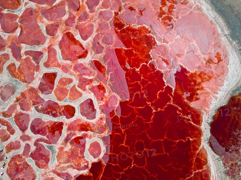 Aerial view of Ulan Lake, Red Lake, caused by microorganisms and algae such as Dunaliella salina, which produce the pigment beta-carotene to protect themselves from strong UV radiation, people standing on the partially dried-up salt lake Ulan Lake in the Tengger Desert, part of the Gobi Desert known as the ‘Red Heart of the Earth', Inner Mongolia, China