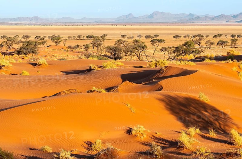 Evening atmosphere, sand dunes, landscape in the NamibRand Nature Reserve, Naukluft Mountains in the background, Namib Desert, Namibia