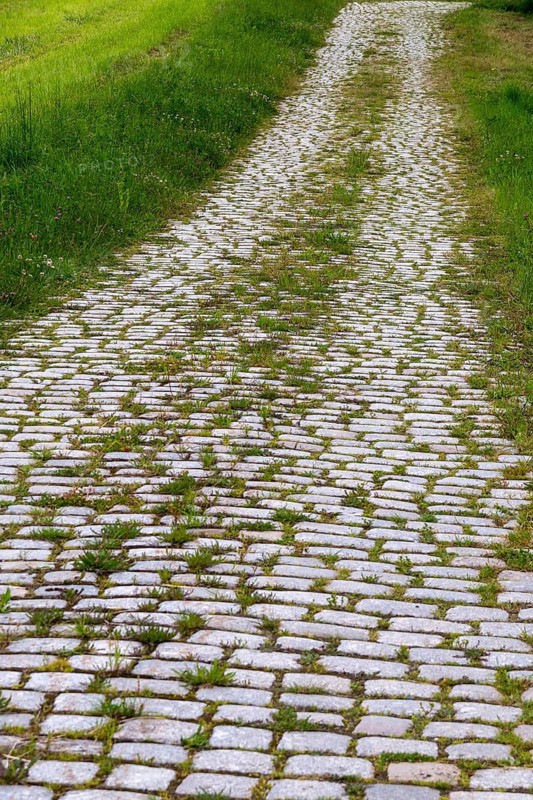 Grout, paving path, stone paving, paved path, high size, portrait format, path