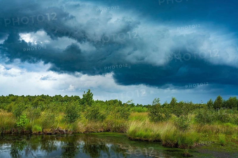 Thunderstorm over Goldenstedter Moor, clouds, weather, Goldenstedt, Lower Saxony, Germany