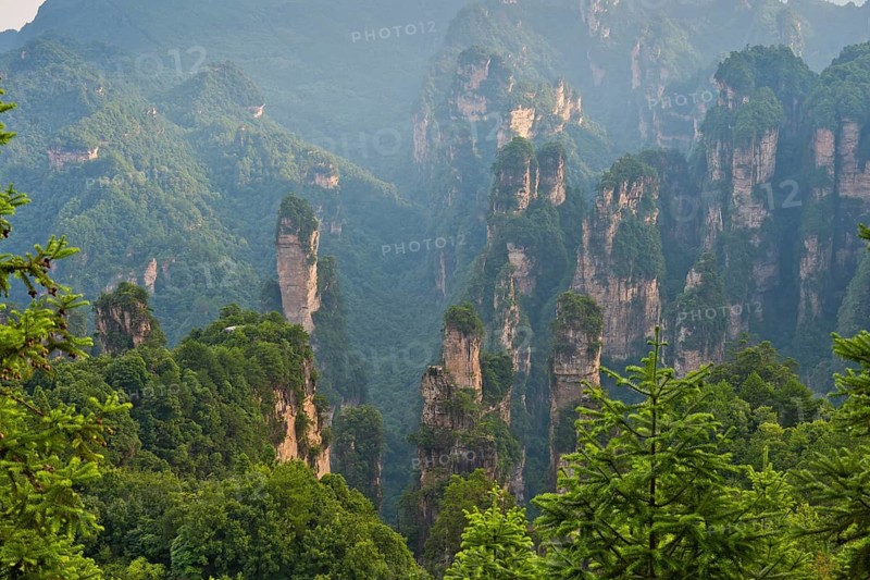 Panoramic view of the quartz sandstone pillars of the Tianzi Mountains in Zhangjiajie National Park, Avatar Mountains, Halleluja Mountains, Wulingyuan, Yuanjiajie, Hunan Province, China