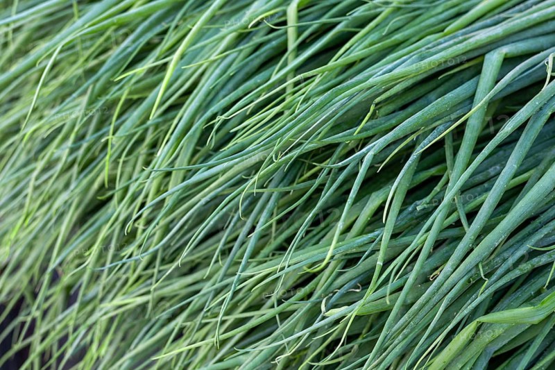 Close-up of fresh spring onions with vibrant green color, on display at a market