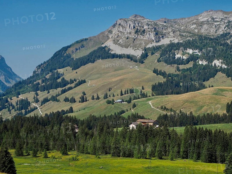 Alpine landscape with green meadows, mountains and forests under blue skies, UNESCO Entlebuch Biosphere, Switzerland
