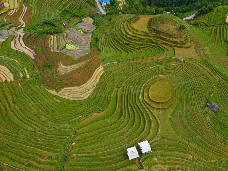 Aerial view of rice terraces setting new fresh green rice, new fresh green rice seedlings at Mù Cang Ch?i, Mu Cang Chai District, Lào Cai Province, North Vietnam, Vietnam