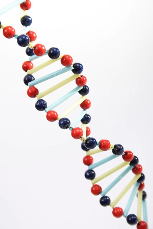 Symbolic image of DNA, genetic engineering, DNA strand, Vienna, Austria