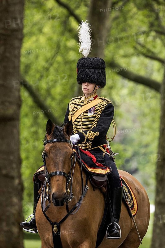 A mounted officer of the King's Troop Royal Horse Artillery takes part in the Royal Gun Salute in Green Park, London, England, United Kingdom