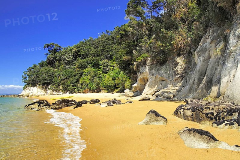 Sandy beach beach, Abel Tasman National Park, Tasman Sea, Nelson Region, South Island of New Zealand
