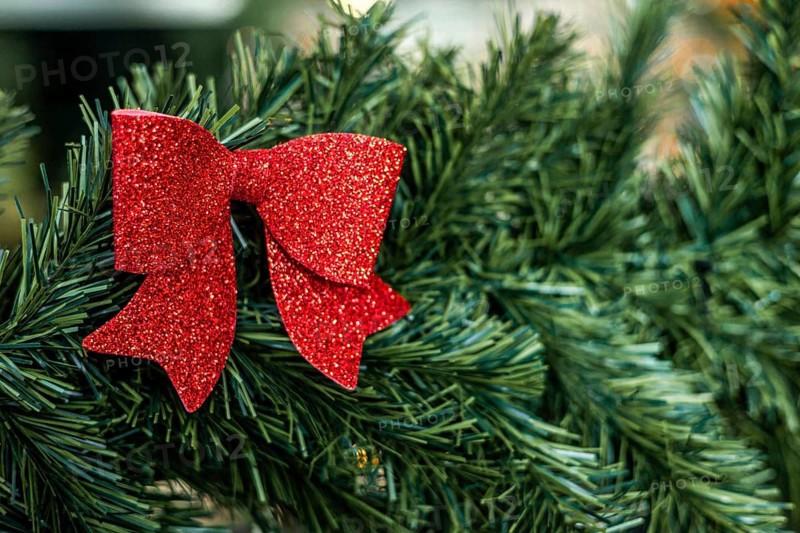 A close-up of a red glitter bow attached to green pine branches. The scene captures festive decorations, ideal for holiday themes