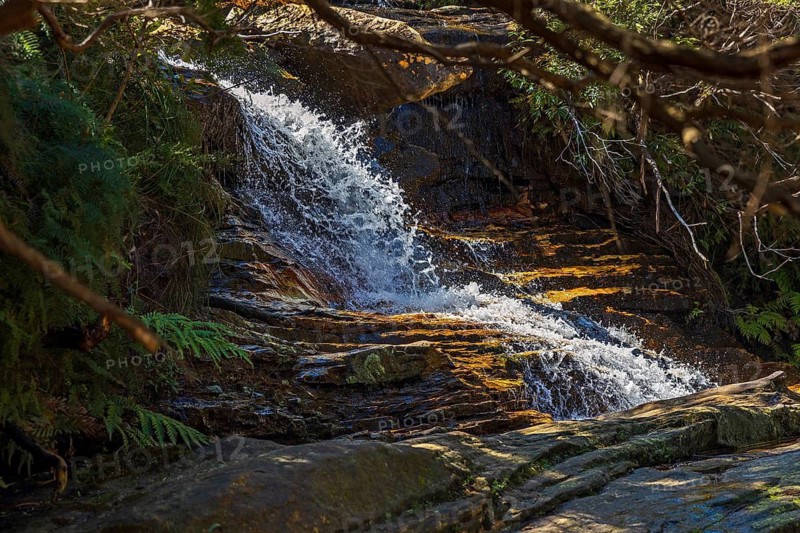 Wentworth Falls, Blue Mountains National Park, New South Wales, Australia
