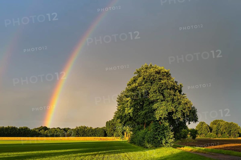 Rainbow over the Vechtär Marsch, Vechta, Lower Saxony, Germany