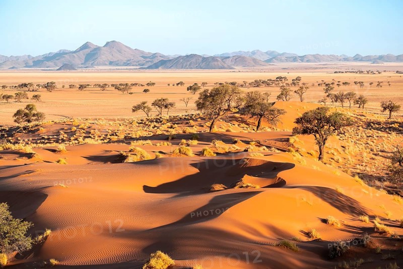Evening atmosphere, sand dunes, landscape in the NamibRand Nature Reserve, Naukluft Mountains in the background, Namib Desert, Namibia