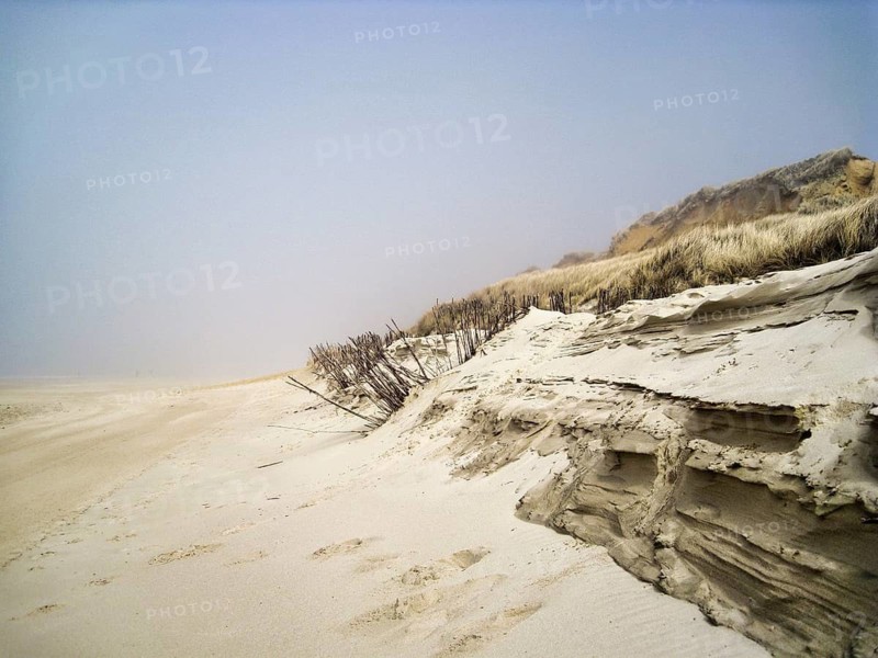 Demolition edge on a sand dune on the beach, erosion, beach oats and bundles of brushwood as coastal protection, sand trap fence, fog in spring, characteristic coastal landscape, west coast, North Sea, Wenningstedt, Sylt, Germany