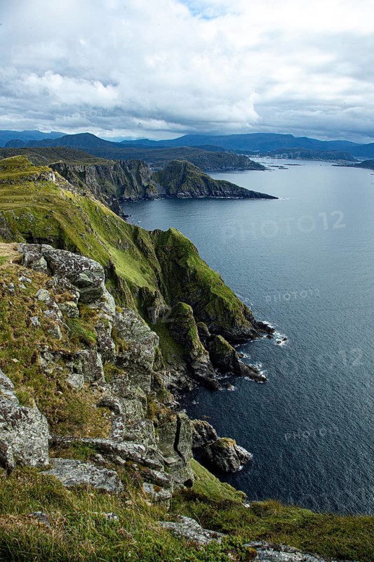 Dramatic cliff landscape with lush greenery on a rocky coast under cloudy sky, bird protection island, Runde island in Norway