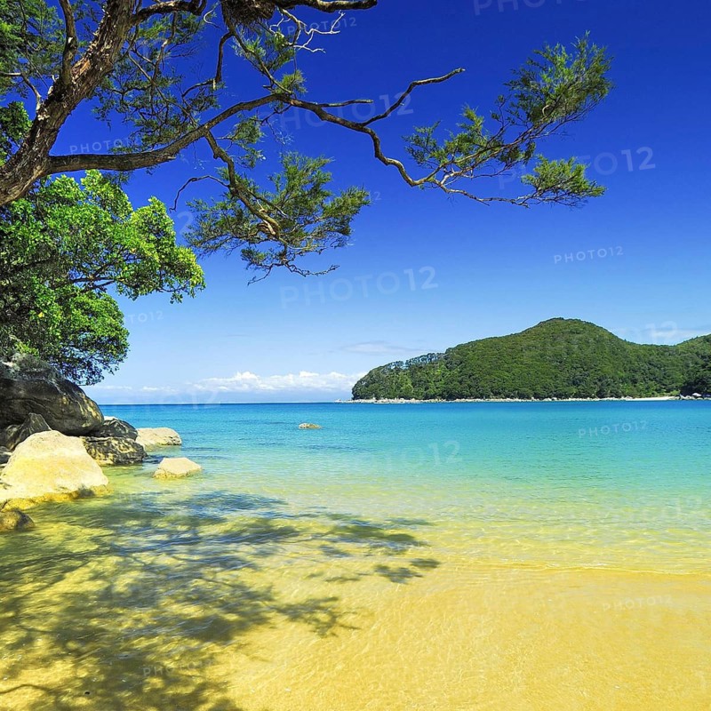 Bark Bay, Abel Tasman National Park, Tasman Sea, Nelson Region, South Island New Zealand