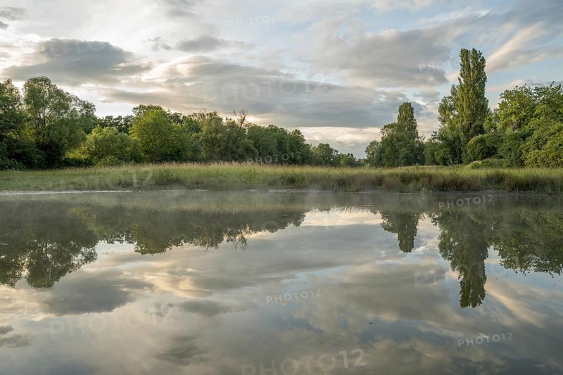 There are trees near a pond. Her reflection can be seen in calm water. There are a few clouds in the sky. Muttersholtz, Bas-Rhin, Alsace, France