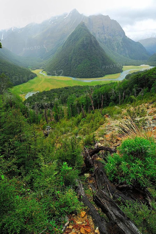 Routeburn Valley, Routeburn Track, Humboldt Mountains, Mount Aspiring National Park, Otago, South Island of New Zealand, Routeburn Valley, Otago, New Zealand