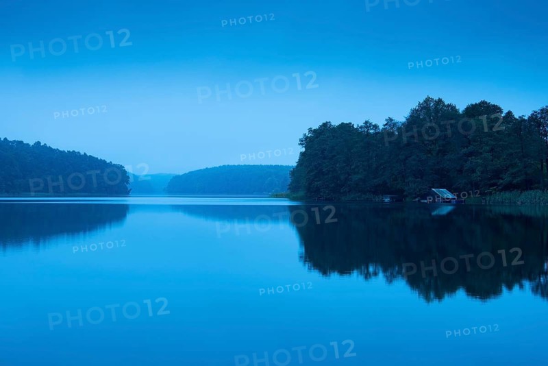 Dawn at blue hour at the lake, Schmalen Luzin, Feldberger Seenlandschaft, Mecklenburg-Western Pomerania, Germany