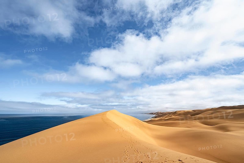 Sand dunes and sea, Atlantic coast and sandy desert with sea of dunes, Sandwich Harbour, Namib Naukluft Park, Namib Desert, Namibia