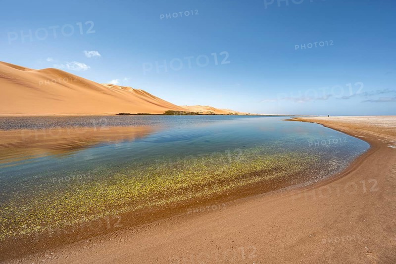 Sand dunes are reflected in the lagoon at Sandwich Harbour, Namib Naukluft Park, Namib Desert, Namibia