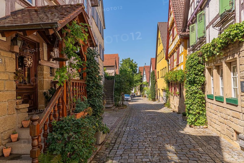 Holdergassen, former vineyard quarter, picturesque little alleys, historic old town of Marbach am Neckar, historic old town, half-timbered houses, wine vines, wine tradition, vineyard houses, narrow alleys, historic buildings, cobblestones, medieval town, city history, local history, historic architecture, old town quarter, half-timbered architecture, window shutters, covered stairway entrance, steps, gabled houses, door decorations Ck, Baden-Württemberg, Germany