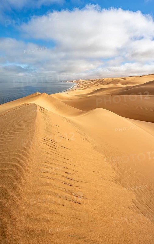 Sand dunes and sea, Atlantic coast and sandy desert with sea of dunes, Sandwich Harbour, Namib Naukluft Park, Namib Desert, Namibia