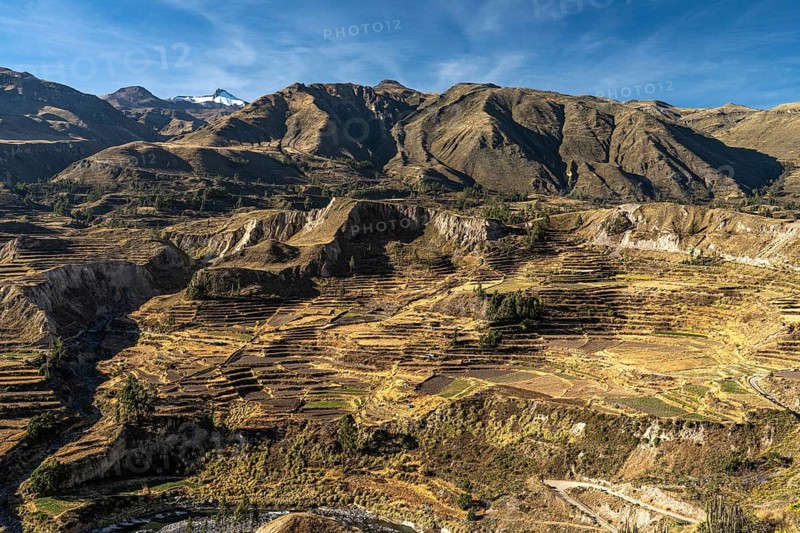 Mountain landscape with terraced fields in Colcacanon, Canon del Colca, Southern Peru, Andes, Peru, South America