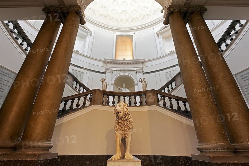 Staircase with lion sculpture, Naples National Archaeological Museum, Museo Archeologico Nazionale di Napoli, Naples, Province of Campania, Italy