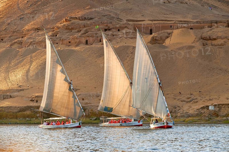 Egypt, landscape, Nile, boat, boats, Felucca, Feluccas, boat, sailboat, Nile, Cairo, Egypt