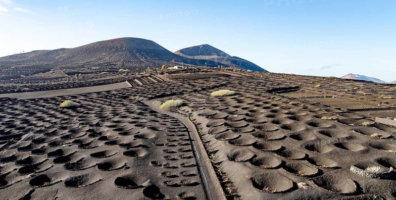 Typical drywall viticulture in volcanic landscape, on volcanic ash, lapilli, aerial view, vines, La Geria wine-growing region, Lanzarote, Canary Islands, Spain