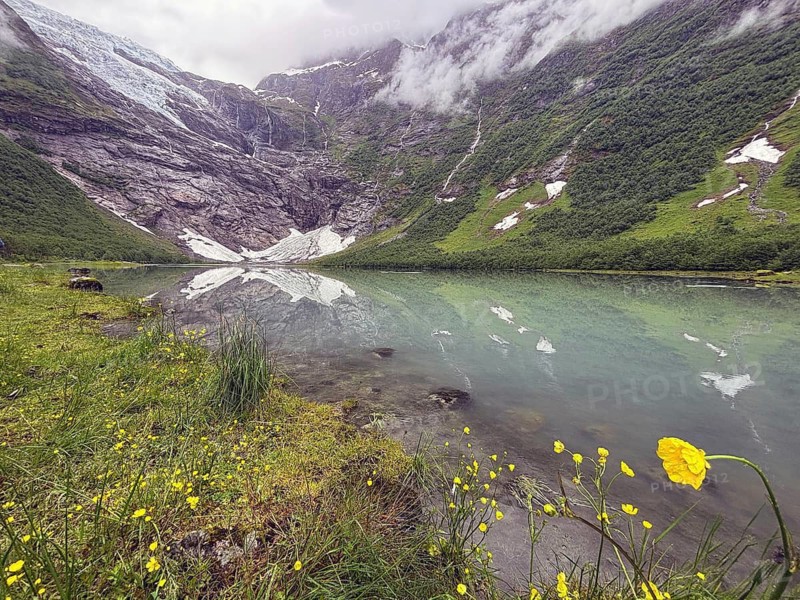 Peaceful mountain lake with glaciers and clouds surrounded by lush greenery and yellow flowers, climate change, boyabreen, Fjaerland, Norway
