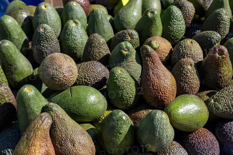 A variety of avocados are piled together, showcasing different shapes and colors