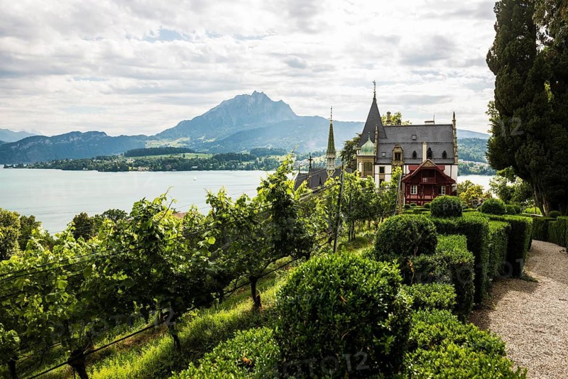 Picturesque castle with vineyard on a lake in the mountains, Meggenhorn Castle, Meggen, Lake Lucerne, Canton of Lucerne, Switzerland