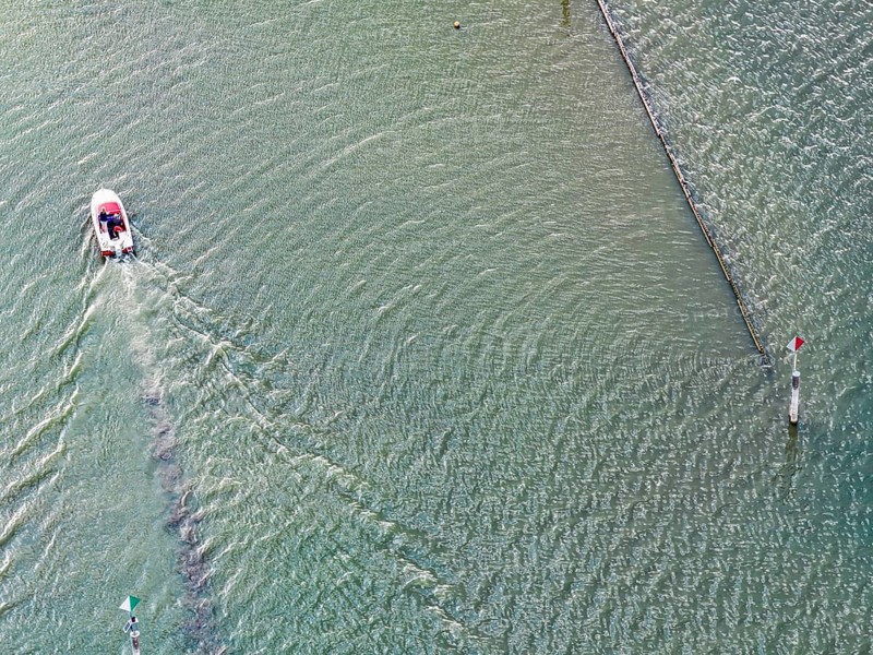 Motorboat entering the port of moss. Waves form on the surface of the water. The water level in Lake Constance is at a low level due to the hot summer. In many ports in the Untersee, there is barely any water left. moss is located on the shores of Lake Constance on the Höri peninsula. aerial view. moss, Baden-Württemberg, Germany