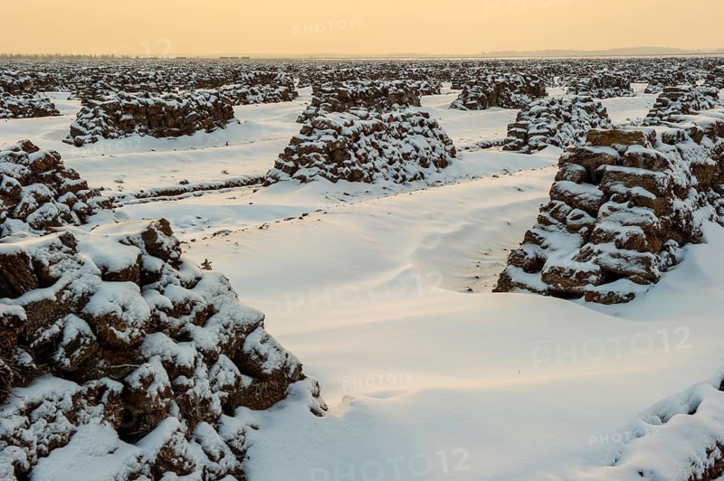 Peat in winter, moor, Goldenstedt, Lower Saxony, Germany