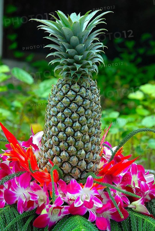 A pineapple decorated with flowers, Thailand