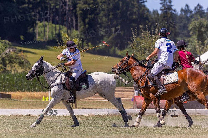 Heino Ferch, polo player, polo horse, polo pony (Equus), rider, polo tournament, 1295 Polo Masters, Sylvenstal, Pfullendorf, Linzgau, Sigmaringen district, Baden-Württemberg, Germany