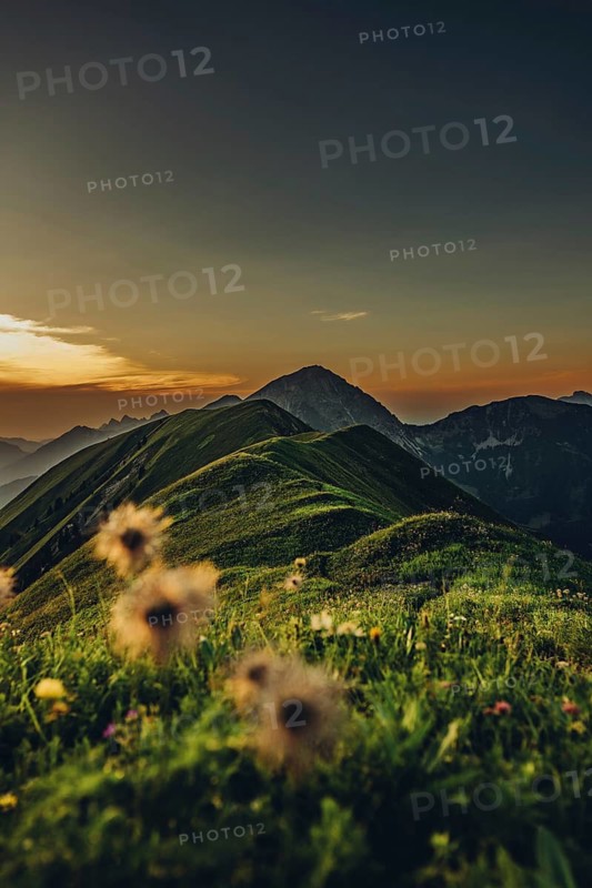 Hiking tour on the Hönig mountain in the Lechtal valley near Berwang in Tyrol, Austria