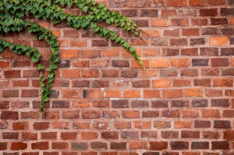 A textured red brick wall with green ivy climbing over it. The bricks are arranged in a classic pattern, showcasing a rustic and natural appearance