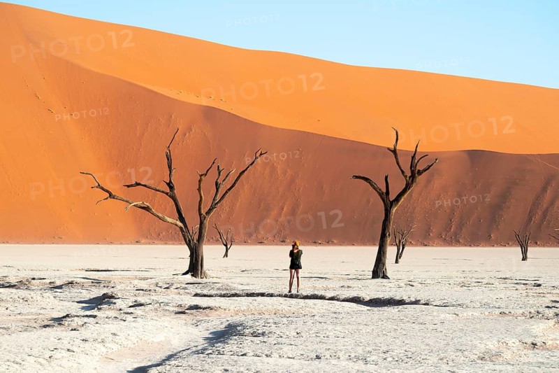 Dead trees in front of red sand dunes, atmospheric white salt pan Dead Vlei, Sossusvlei, Namib, Namib Desert, Namibia