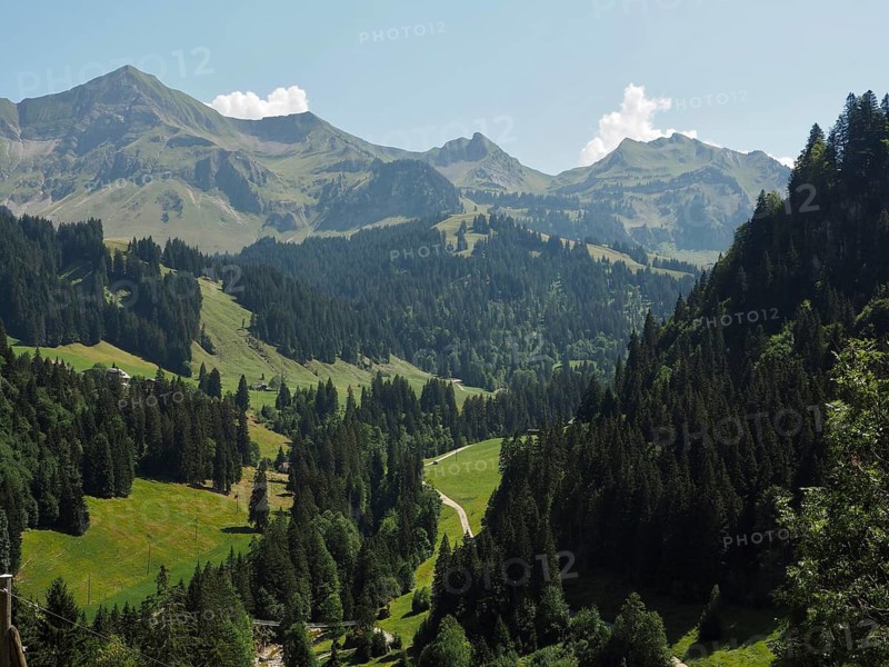 An impressive mountain backdrop with thick forests and vast meadows in a sunny valley, UNESCO Biosphere Entlebuch, Switzerland
