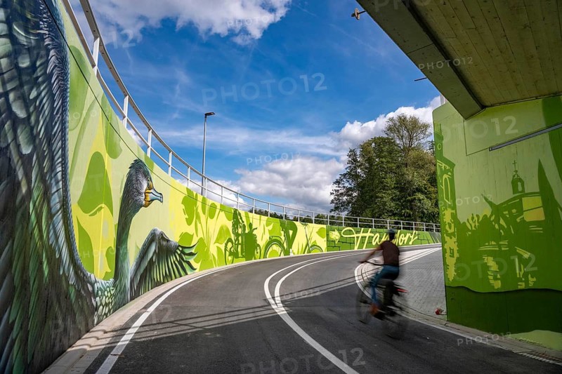 New bicycle tunnel at the junction of the B51 and Warendorfer Straße, in Münster, a bicycle and pedestrian tunnel, 150 metres long, 5.50 metres wide, crosses under the busy roads so that cyclists and pedestrians can pass without crossing, route to and from Münster city centre, visually designed with local motifs as murals, by Lackaffen.de, modern bicycle infrastructure, North Rhine-Westphalia, Germany