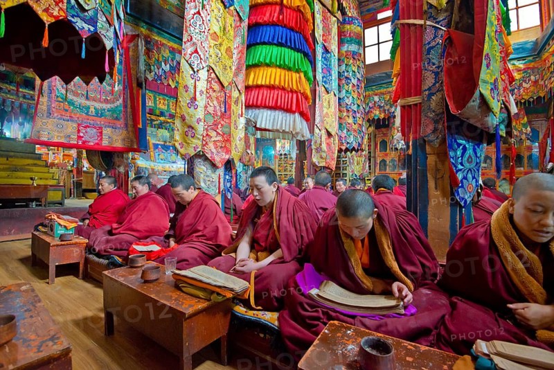 Buddhist nuns during a recitation in Terdom Monastery, Tidro Gompa Nunnery, Terdom, Tibet, China