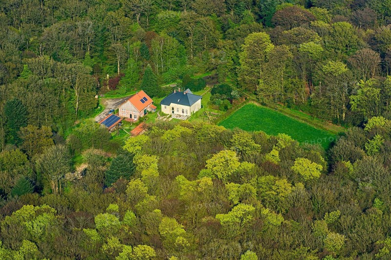Aerial view of the forester house in Herenholz in the district of Vechta, forest, Oldenburger Münsterland, Goldenstedt, Lower Saxony, Germany